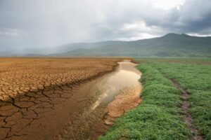 Impactos climáticos agricultura