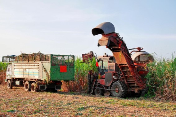 Manutenção transporte cana-de-açúcar