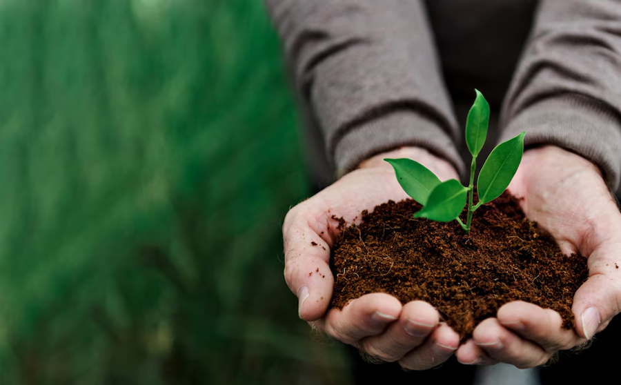 praticas sustentaveis na agricultura