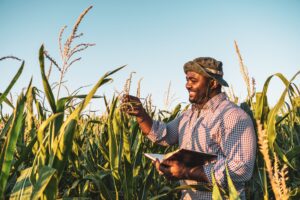capacitação no setor agrícola