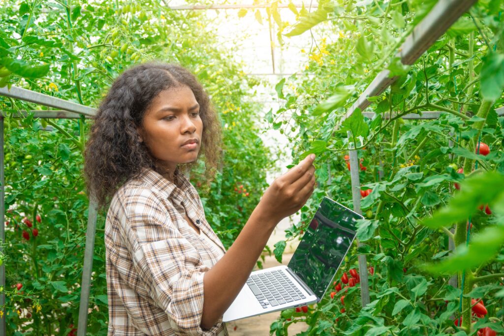 capacitação no setor agrícola importância