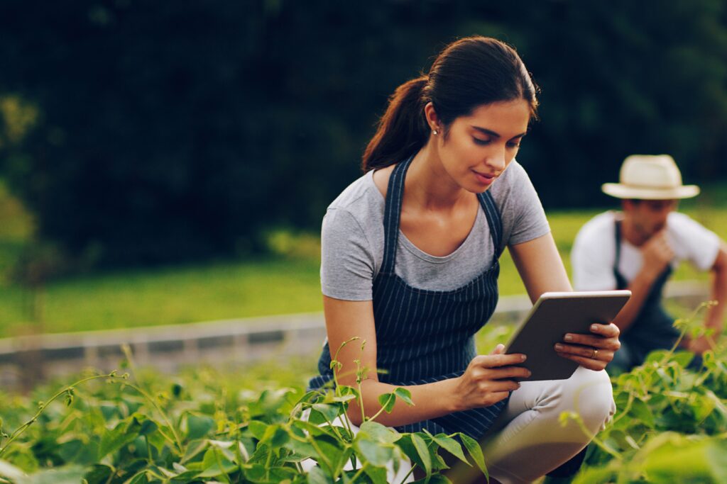 processos de sustentabilidade e inovação na agricultura